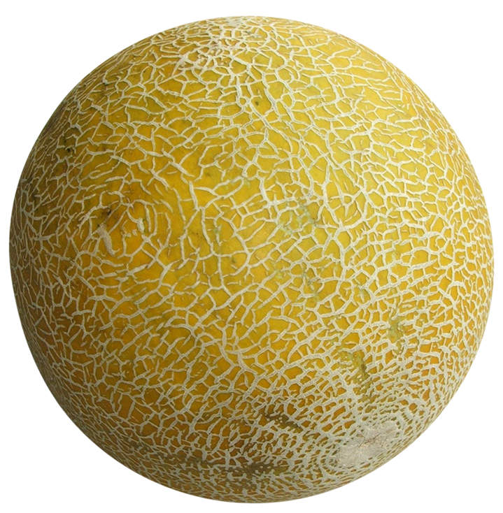 cucumis melo image, cucumis melo png, cucumis melo png image, cucumis melo transparent png image, cucumis melo png full hd images
